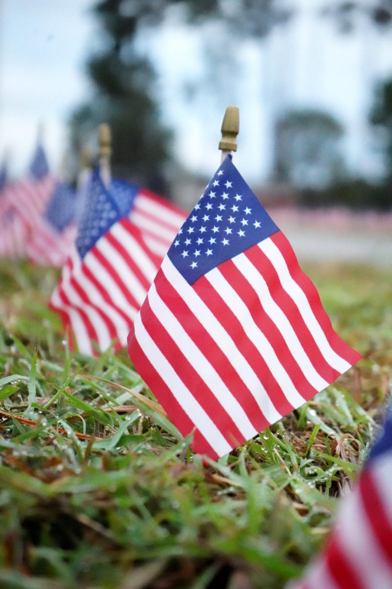 Small American flags were planted by the JROTC around the flagpole on Sept. 11. 